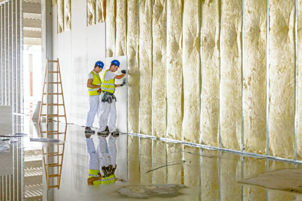 Best Residential Insulation in Sheboygan Falls, WI